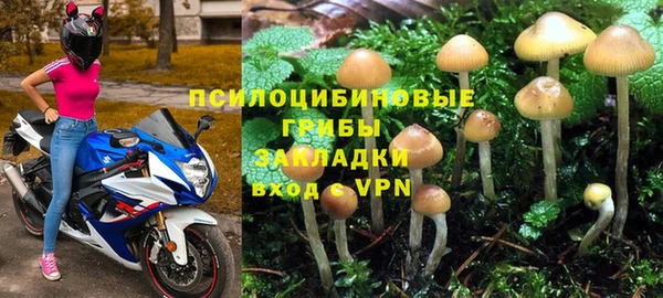 мяу мяу мука Горнозаводск