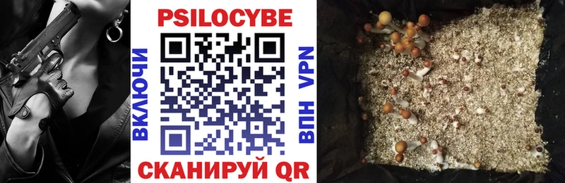 Псилоцибиновые грибы мицелий  Норильск 