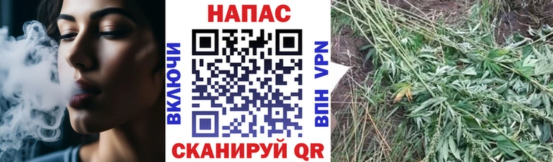 Марихуана THC 21%  где купить   Норильск 